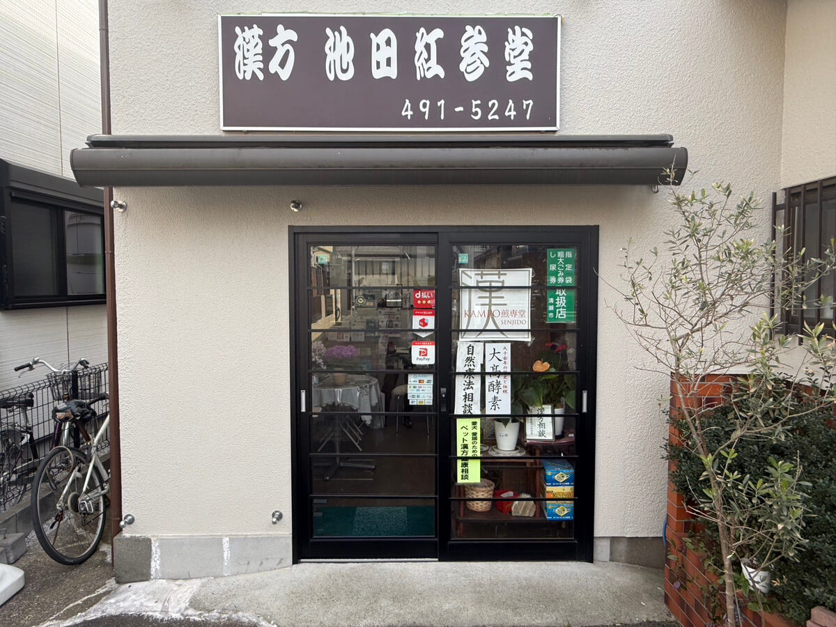 池田紅参堂 店内