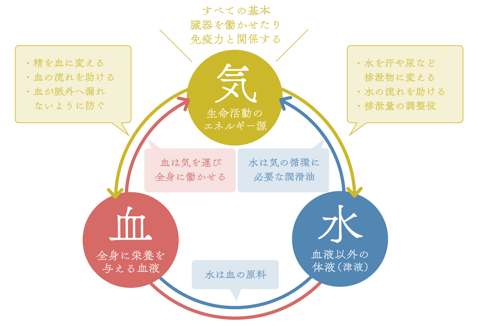 漢方の「気」「血」「水」のバランス
